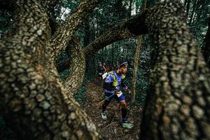 BIB: 
                            <button type="button" onclick="openModal(25392860)" class="btn btn-primary btn-sm float-right btn-popup" data-toggle="modal" data-target=".modal-high-quality">
                        <i class="fas fa-shopping-cart"></i> Add to Cart
                    </button>
                                            <button type="button" onclick="isThisMe(25392860, true)" class="btn btn-success btn-sm float-right btn-popup btn-isme hidden" data-toggle="tooltip" data-placement="bottom" title="นี่คือรูปของคุณใช่ไหม คลิกที่นี่เพื่อเอาเข้าอัลบั้ม">
                        <i class="fas fa-plus"></i> Add to album
                    </button>
                    <button type="button" onclick="isThisMe(25392860, false)" class="btn btn-warning btn-sm float-right btn-popup btn-isnotme hidden">
                        <i class="fas fa-ban"></i> Remove from album
                    </button>